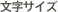 文字サイズ