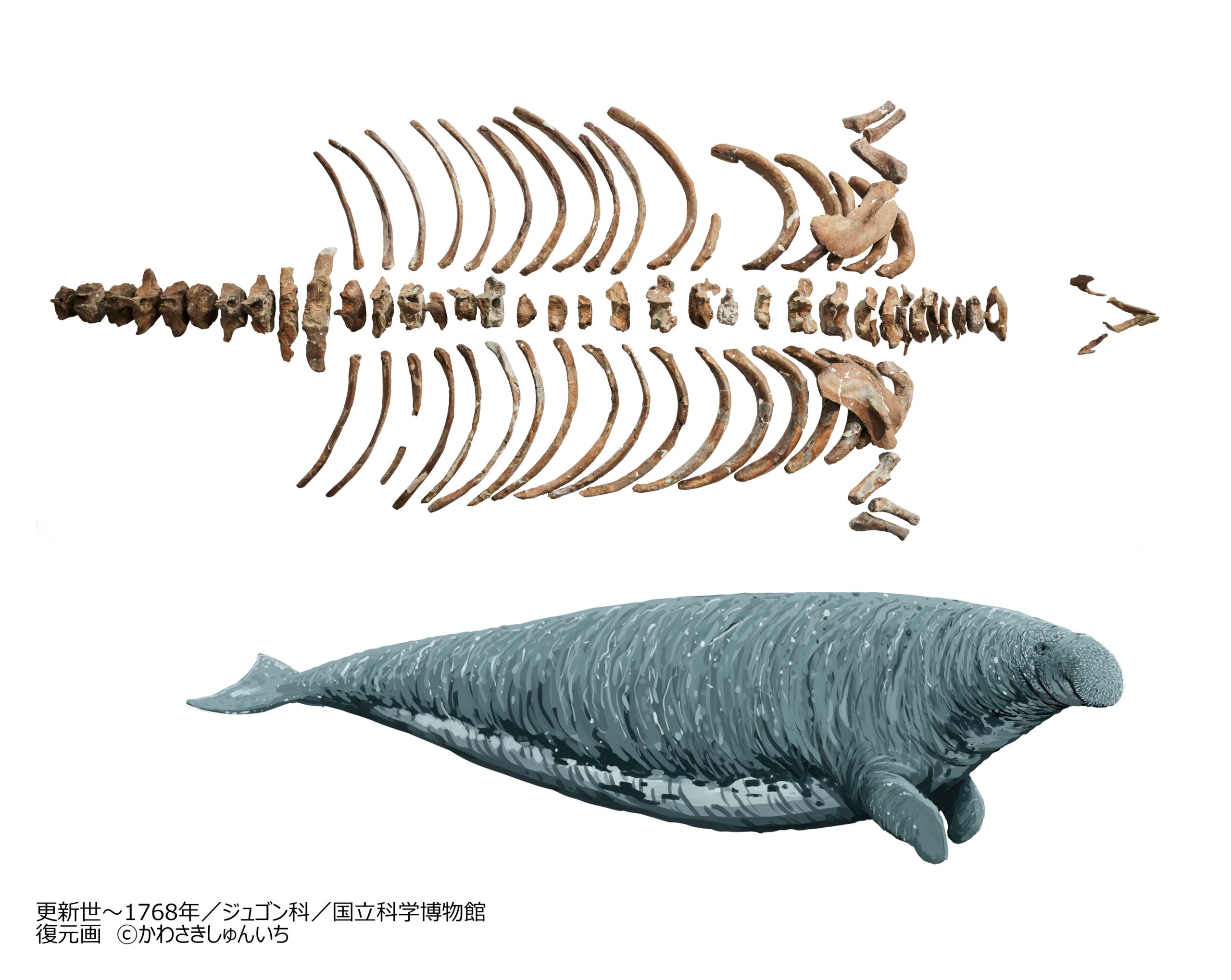 ペア入場チケット